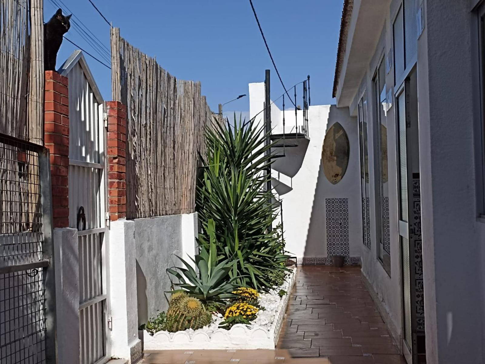Villa Casa, Piscina, Jacuzzi, Garaje, Barbacoa. Chiclana de la Frontera Exterior foto